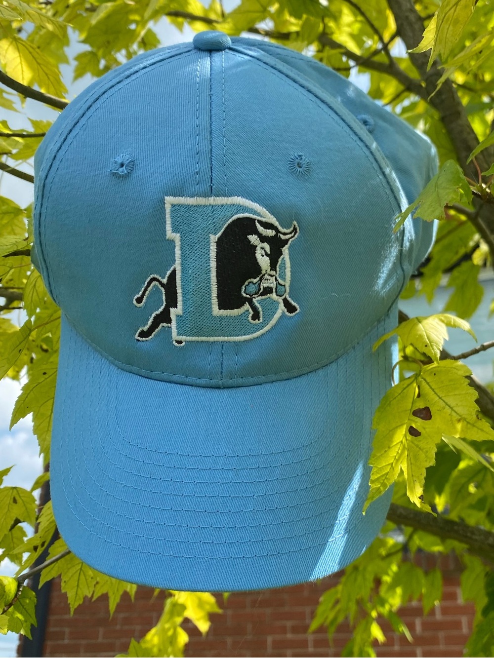 Durham Bulls celebrate UNC Tarheels Baseball Cap